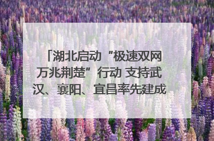 湖北启动“极速双网 万兆荆楚”行动 支持武汉、襄阳、宜昌率先建成“万兆先锋城市”