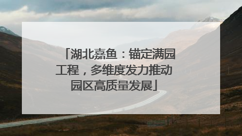 湖北嘉鱼：锚定满园工程，多维度发力推动园区高质量发展
