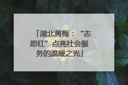 湖北黄梅：“志愿红”点亮社会服务的温暖之光