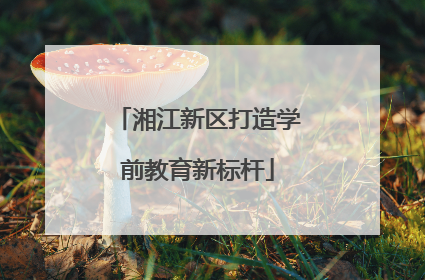 湘江新区打造学前教育新标杆