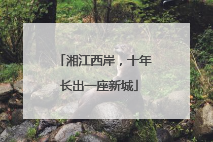 湘江西岸，十年长出一座新城