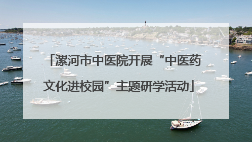 漯河市中医院开展“中医药文化进校园”主题研学活动