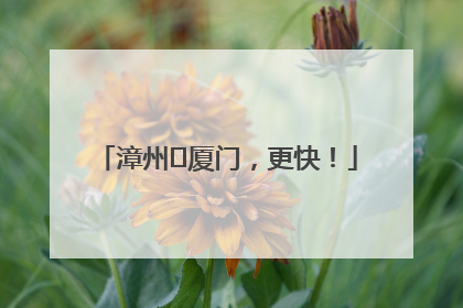 漳州⇋厦门，更快！