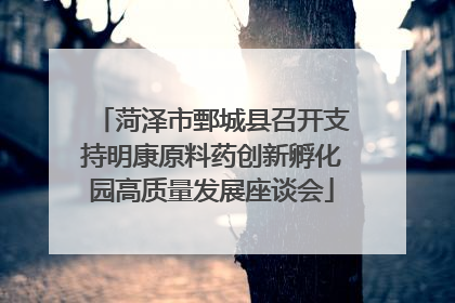 菏泽市鄄城县召开支持明康原料药创新孵化园高质量发展座谈会