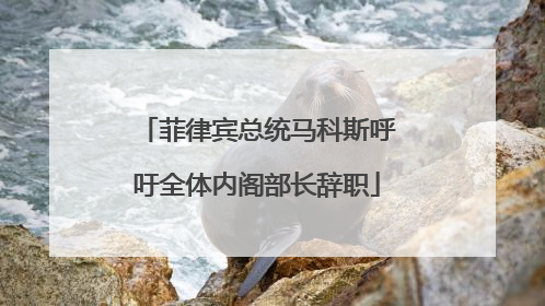 菲律宾总统马科斯呼吁全体内阁部长辞职