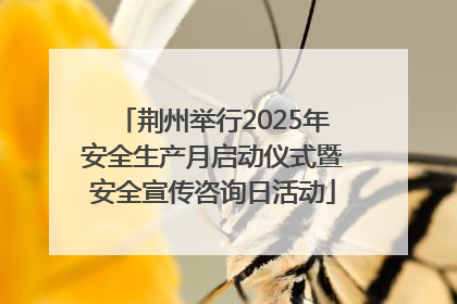 荆州举行2025年安全生产月启动仪式暨安全宣传咨询日活动