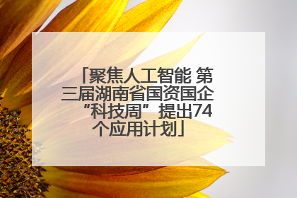 聚焦人工智能 第三届湖南省国资国企“科技周”提出74个应用计划