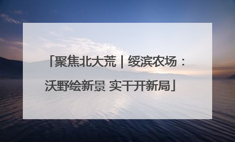 聚焦北大荒｜绥滨农场：沃野绘新景 实干开新局