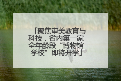 聚焦审美教育与科技，省内第一家全年龄段“博物馆学校”即将开学