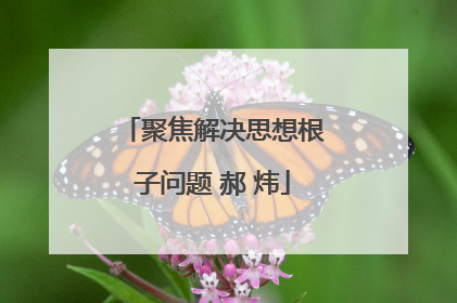 聚焦解决思想根子问题 郝 炜
