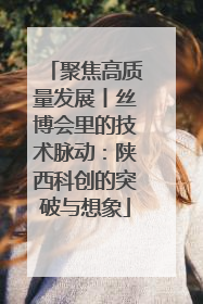 聚焦高质量发展丨丝博会里的技术脉动：陕西科创的突破与想象