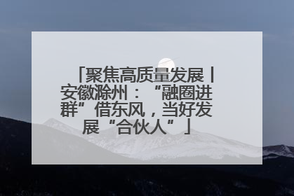 聚焦高质量发展丨安徽滁州:“融圈进群”借东风,当好发展“合伙人”