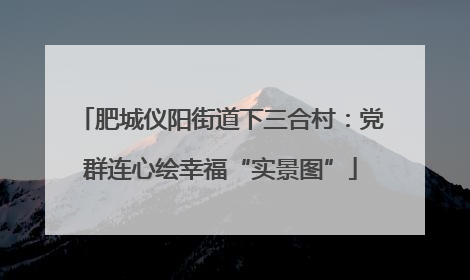 肥城仪阳街道下三合村：党群连心绘幸福“实景图”