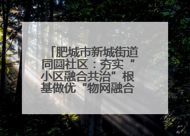 肥城市新城街道同圆社区：夯实“小区融合共治”根基做优“物网融合一家亲”品牌