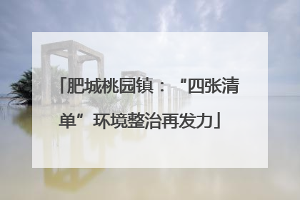 肥城桃园镇：“四张清单”环境整治再发力