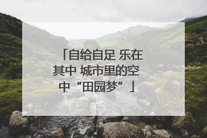 自给自足 乐在其中 城市里的空中“田园梦”