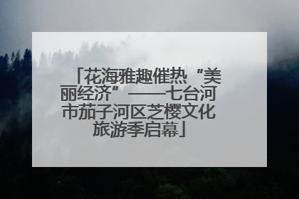 花海雅趣催热“美丽经济”——七台河市茄子河区芝樱文化旅游季启幕