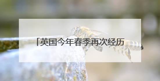 英国今年春季再次经历“阳光灿烂的季节”