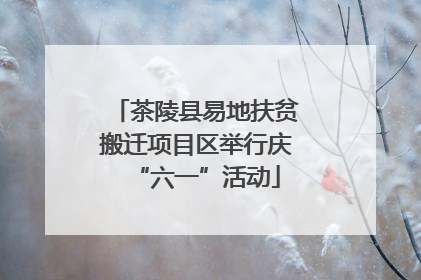 茶陵县易地扶贫搬迁项目区举行庆“六一”活动