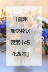 薛刚：加快数据要素市场化改革
