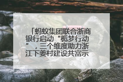 蚂蚁集团联合浙商银行启动“栀梦行动”，三个维度助力浙江下姜村建设共富示范区示范点