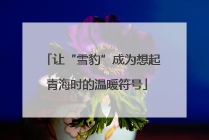 让“雪豹”成为想起青海时的温暖符号
