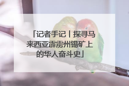 记者手记丨探寻马来西亚霹雳州锡矿上的华人奋斗史