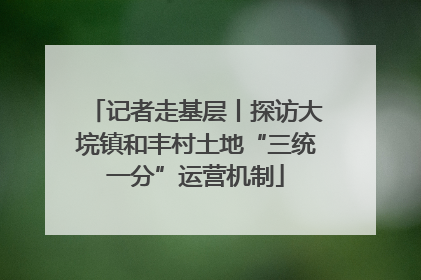 记者走基层丨探访大垸镇和丰村土地“三统一分”运营机制