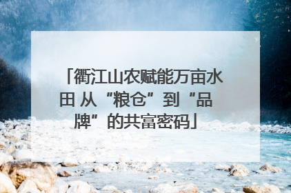 衢江山农赋能万亩水田 从“粮仓”到“品牌”的共富密码