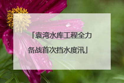 袁湾水库工程全力备战首次挡水度汛