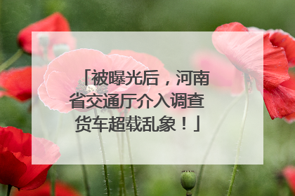 被曝光后，河南省交通厅介入调查货车超载乱象！