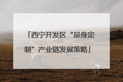 西宁开发区“量身定制”产业链发展策略