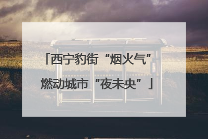 西宁豹街“烟火气” 燃动城市“夜未央”