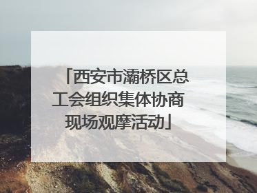 西安市灞桥区总工会组织集体协商现场观摩活动