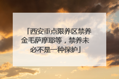 西安重点限养区禁养金毛萨摩耶等，禁养未必不是一种保护