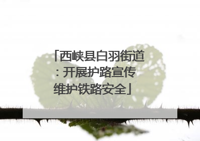 西峡县白羽街道：开展护路宣传 维护铁路安全