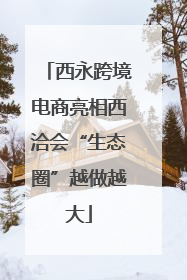 西永跨境电商亮相西洽会“生态圈”越做越大