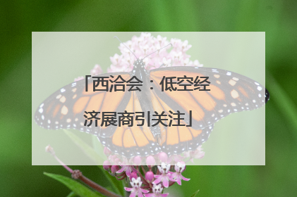 西洽会：低空经济展商引关注