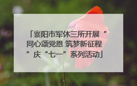 襄阳市军休三所开展“同心颂党恩 筑梦新征程”庆“七一”系列活动