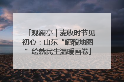 观澜亭｜麦收时节见初心：山东“晒粮地图”绘就民生温暖画卷