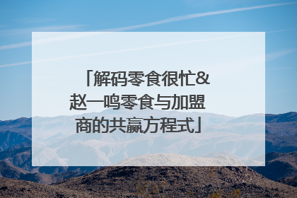 解码零食很忙&赵一鸣零食与加盟商的共赢方程式