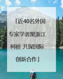 近40名外国专家学者聚浙江柯桥 共探国际创新合作