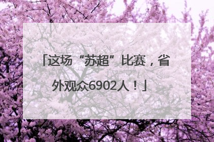 这场“苏超”比赛，省外观众6902人！