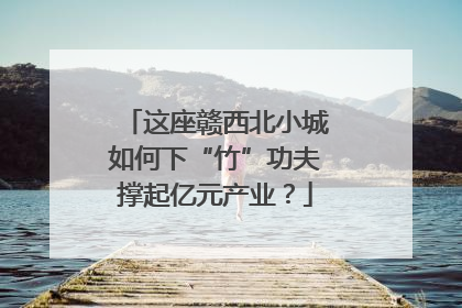 这座赣西北小城如何下“竹”功夫撑起亿元产业？