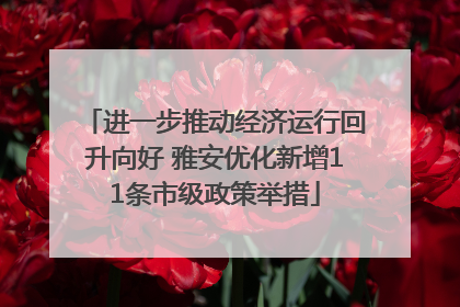 进一步推动经济运行回升向好 雅安优化新增11条市级政策举措