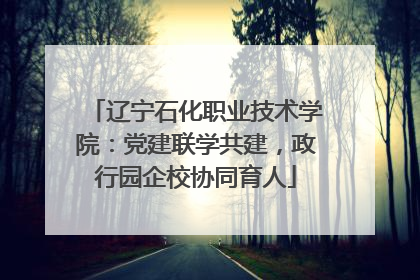 辽宁石化职业技术学院：党建联学共建，政行园企校协同育人