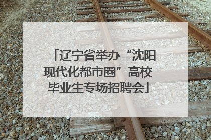 辽宁省举办“沈阳现代化都市圈”高校毕业生专场招聘会