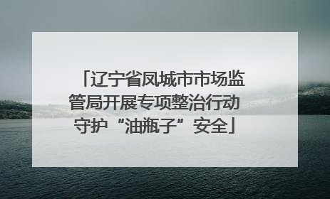 辽宁省凤城市市场监管局开展专项整治行动守护“油瓶子”安全