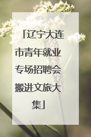 辽宁大连市青年就业专场招聘会搬进文旅大集