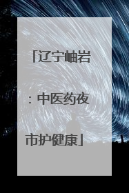 辽宁岫岩：中医药夜市护健康